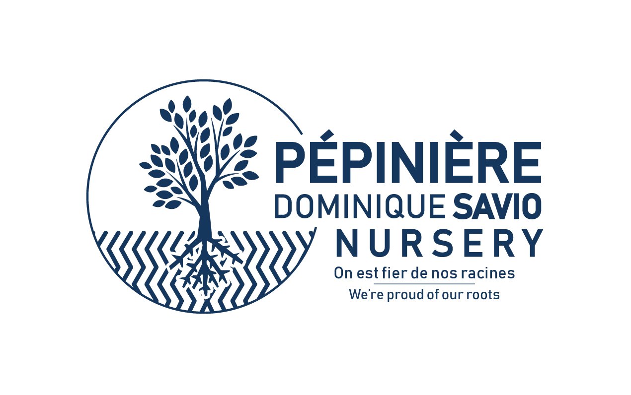 logo pepiniere dominique savio bilingue bleu-01-1